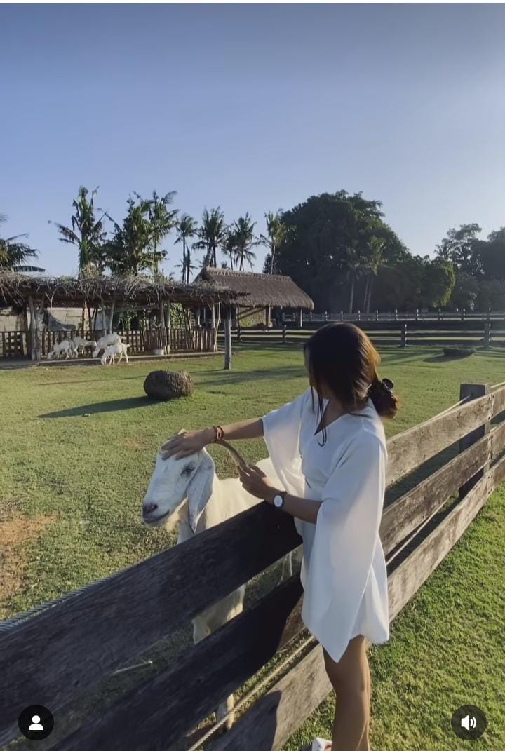OBJEK BARU: Perkebunan dan Peternakan di Lodgeinthewoods, sebuah hotel yang beralamat di Banjar Dangin Uma, Desa Kaba-kaba, Kecamatan Kediri, Tabanan, Bali.