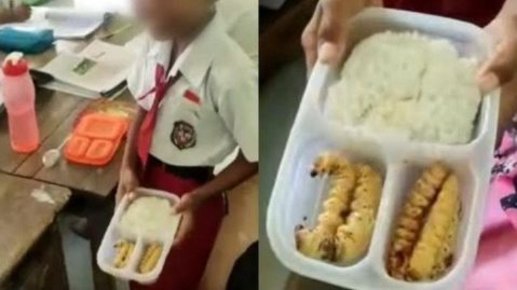 seorang siswa menunjukkan bekal ulat sagu ke sekolah