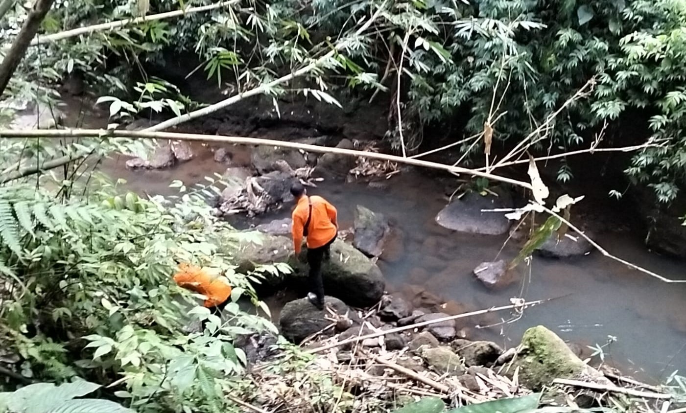 Proses pencarian Dewa Sudiarta,88, di sekitar Desa Riang, Kecamatan Penebel, Tabanan, Kamis 19 Oktober 2023.