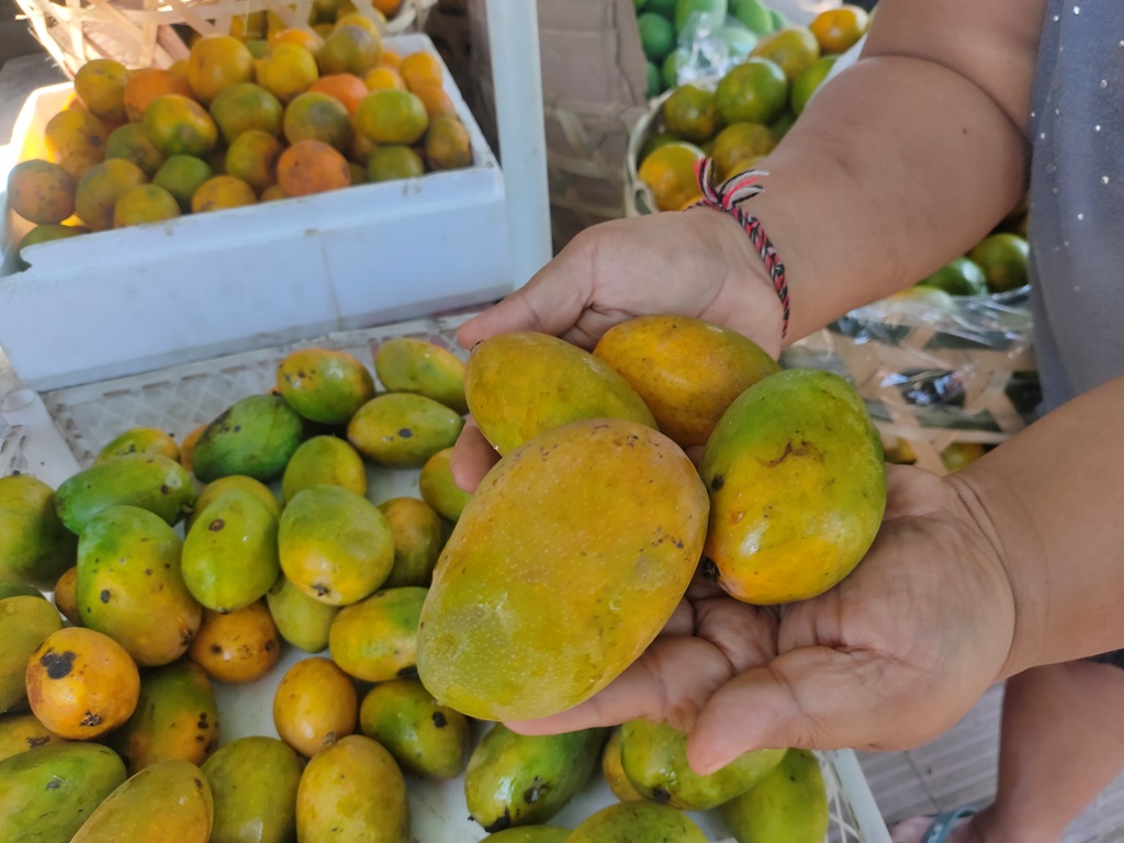 MANGGA: Mangga amplem sari yang dijual di pinggir jalan di kawasan Kota Singaraja, Buleleng. Rasa manisnya yang khas akan membuat ketagihan.