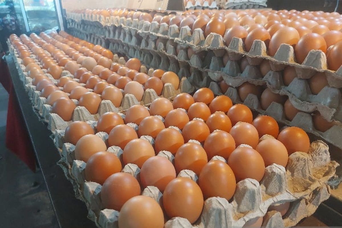 HARGA: Awal bulan November ini harga cabai rawit merah masih pedas, yaitu Rp 70.000 per kilogram. Sedangkan harga telur ayam turun.