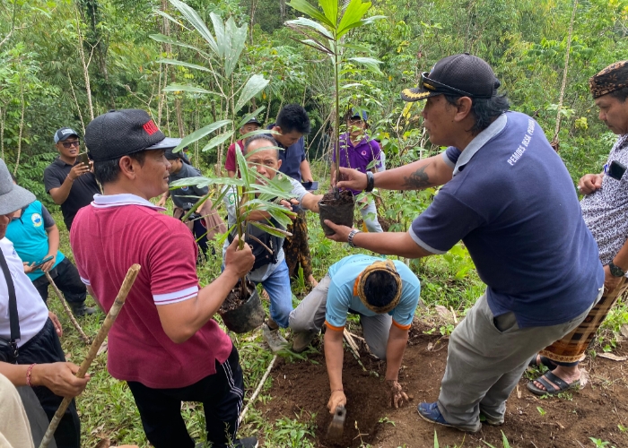 PENANAMAN : Kegiatan reboisasi yang dilaksanakan secara kolaboratif di desa Pedawa.