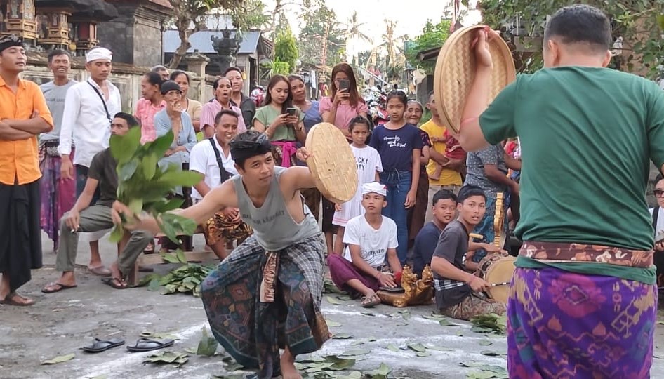 Warga Banjar Langsat, Desa Rendang, Kecamatan Rendang, Karangasem, Bali  melaksanakan tradisi Gerudug Langsat saat Hari Raya Galungan.
