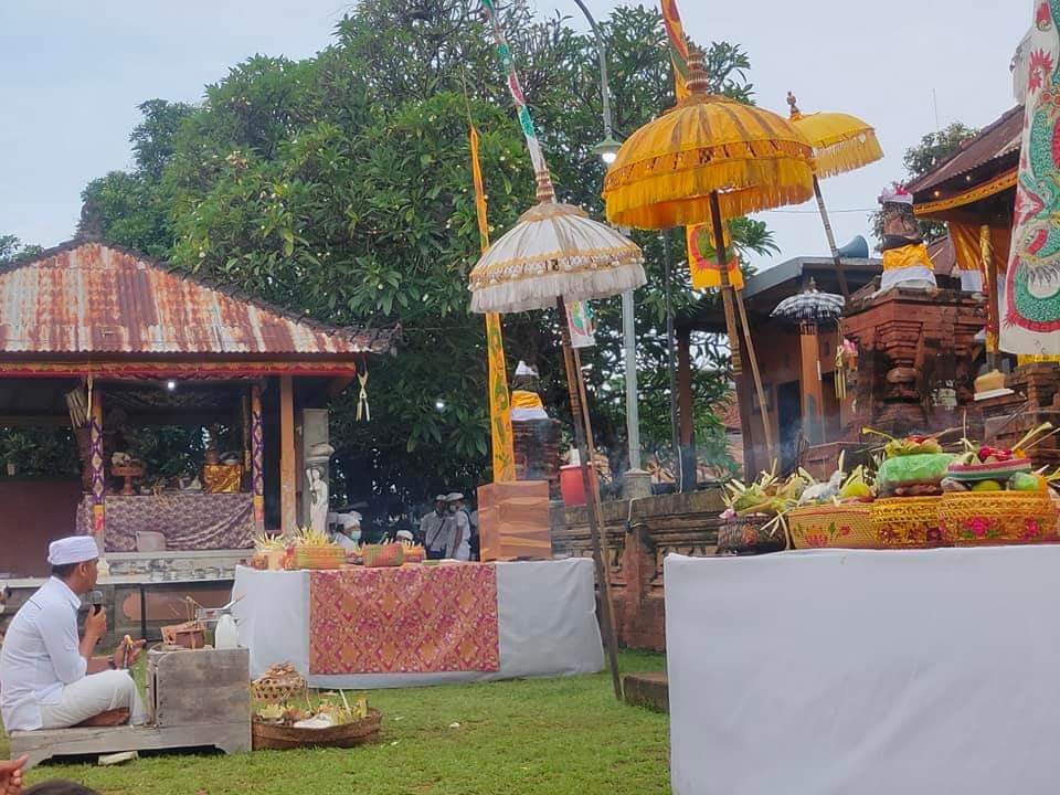 PIODALAN: Sebagai bagian dari ritual Hindu Bali, tradisi nampah penyu hingga menjadi sate untuk persembahan saat piodalan di Pura Mas Penyeti memiliki rangkaian cukup panjang.