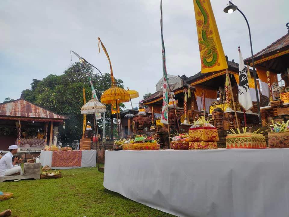 NAMPAH PENYU: Pura Mas Penyeti  di Kelurahan Banjar Tegal, Kecamatan Buleleng, Kabupaten Buleleng memiliki tradisi nampah Penyu untuk jaga keseimbangan alam.