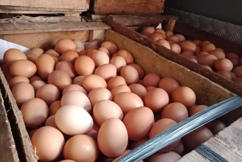 TELUR: Harga telur di Pasar Badung, Jumat (10/11) naik Rp 600 per kilogram dari Rp 25.000 menjadi  Rp 25.600. Cek harga bahan pokok sebelum berbelanja.
