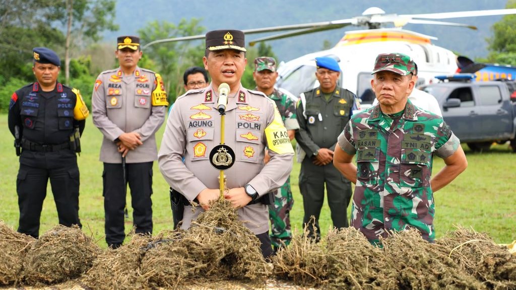 Kapolda Sumut Irjen Pol Agung Setya Imam Effendi memimpin langsung operasi pemberantasan ladang ganja.