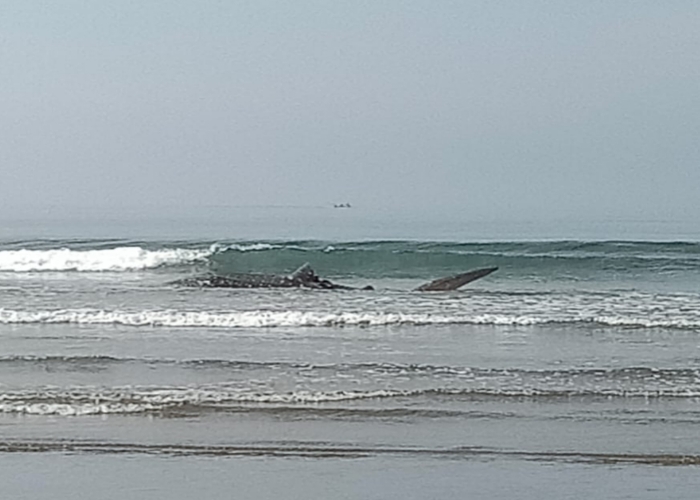 TERDAMPAR : Kondisi hiu paus yang sempat terdampar di pesisir pantai Banjar Yehkuning, Desa Pekutatan, Kecamatan Pekutatan, Jembrana, Senin (27/11).