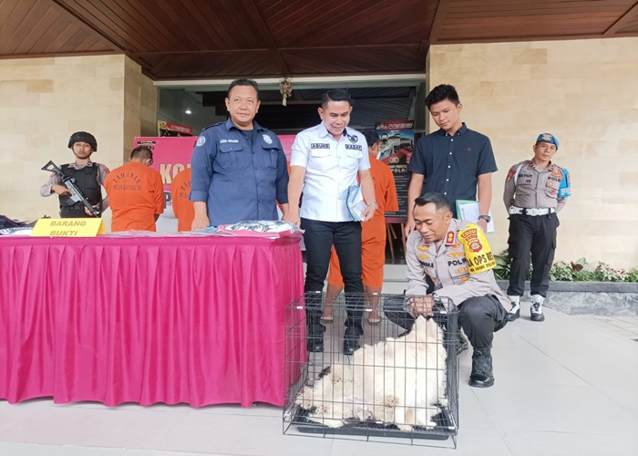 RILIS : Kapolres Klungkung AKBP I Nengah Sadiarta saat menunjukkan barang bukti berupa anjing dalam kasus pencurian di Mapolres Klungkung, Selasa (5/12).