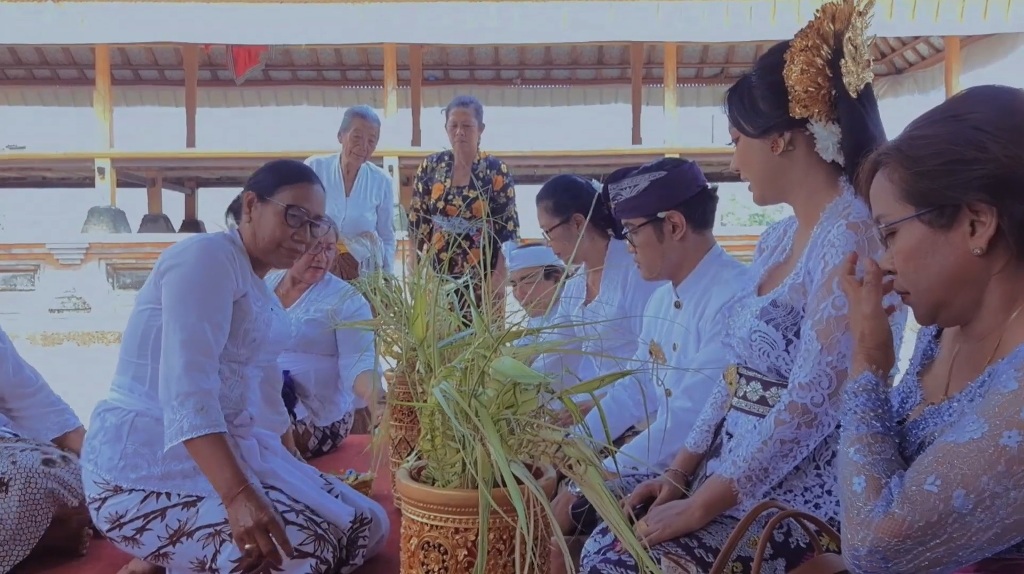 KELACI: Tradisi unik Naur Kelaci dilaksanakan pasangan pengantin di Desa Kedisan, Bangli usai upacara pernikahan.