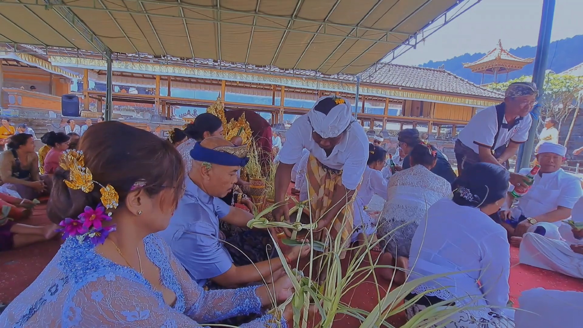 MAKNA: Upacara naur Kelaci di Desa Kedisan, Kintamani Bali sarat dengan makna. Ada beberapa urutan dalam pelaksanaannya.