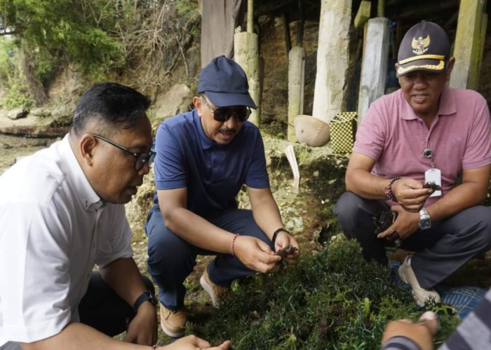 KUNKER : Pj Bupati Klungkung menerima Kunjungan Kerja Direktur Jenderal perikanan Budidaya Kementerian Kelautan dan Perikanan RI, Tb Haeru Rahayu di Kampung Budidaya Rumput Laut ke Desa Lembongan.