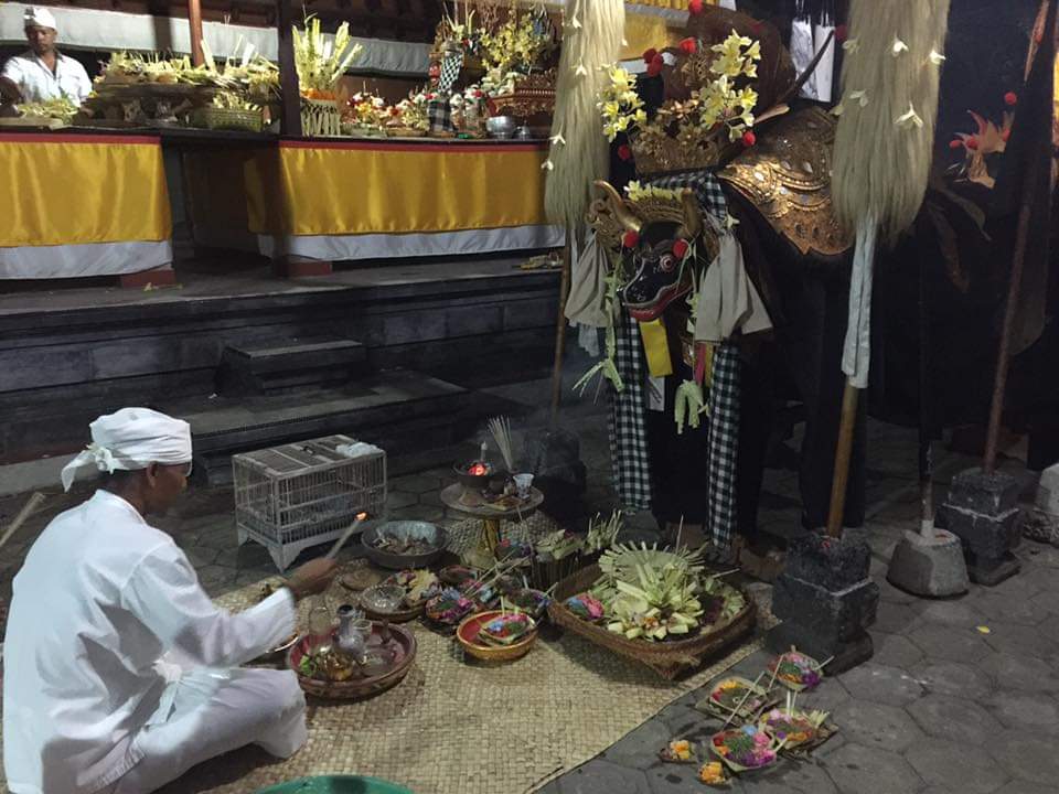 SEMBUH: Sesuai tradisi, barong sampi dipentaskan saat sandyakala karena diyakini bisa sembuhkan penyakit.