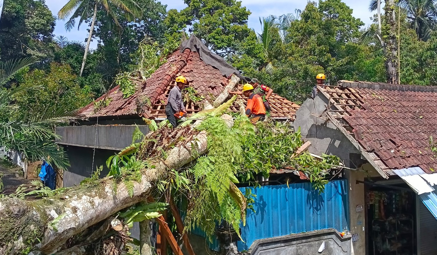 Pohon tumbang di Banjar Dinas Karangsari Kelod, Desa Duda Utara, Kecamatan Selat tumbang menimpa atap rumah warga dan menghalangi jalan, Minggu, 7 Januari 2024. &nbsp;