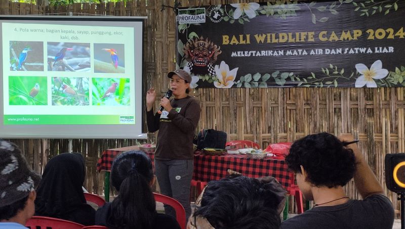Tim dari ProFauna Indonesia memberikan penjelasan mengenai jenis burung &nbsp;di Desa Pedawa, Kecamatan Banjar, Buleleng, Bali.
