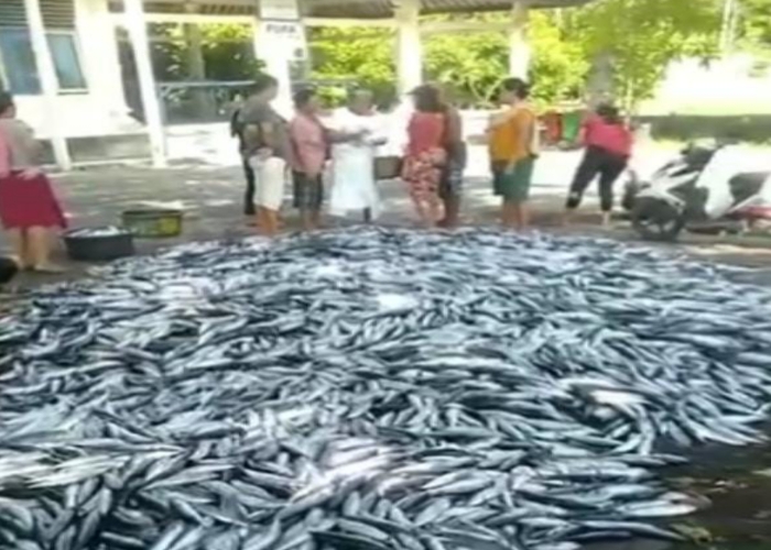 MELIMPAH: Hasil tangkapan ikan para nelayan di Pantai Pengalon, Desa Antiga Kelod, Manggis, yang melimpah, Rabu (10/1).