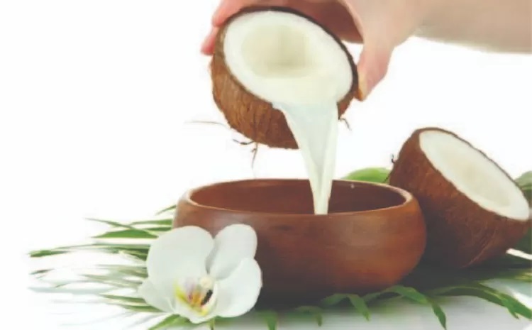 Manfaat dan risiko santan bagi kesehatan.