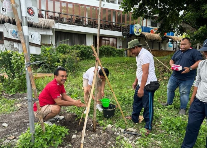 DITANAM: Penanaman pohon tabebuya di sepanjang Jalan Labuan Sait, Desa Adat Pecatu, Kuta Selatan, Minggu (21/1).