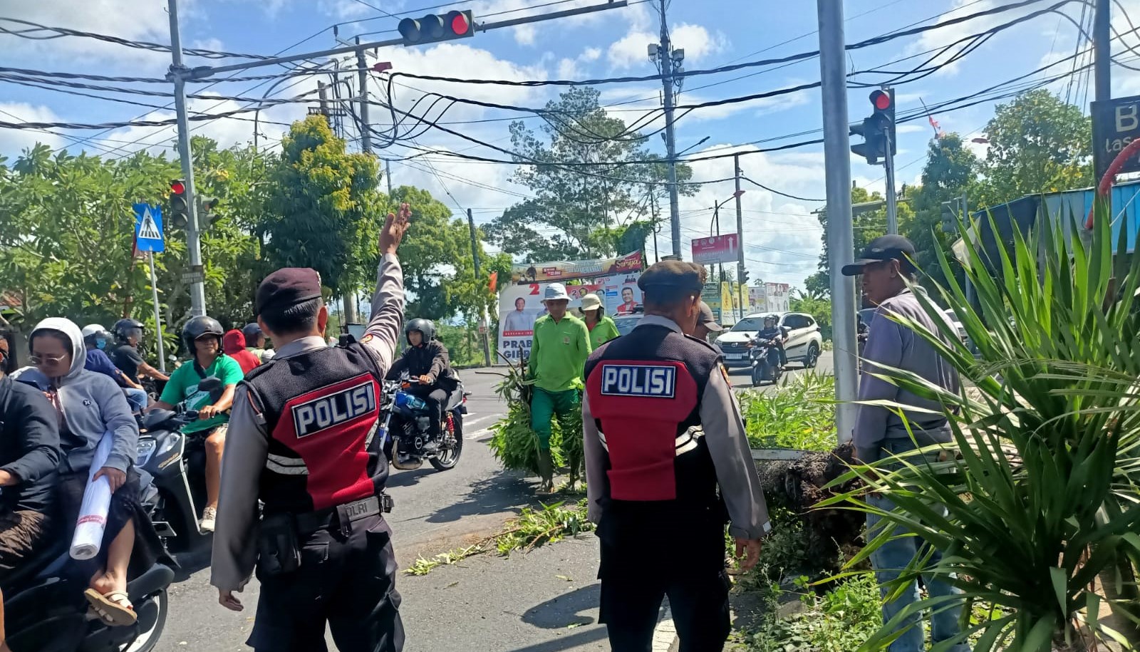 Polisi mengatur arus lalu lintas di Jalan Astina Timur, Gianyar, Bali setelah terjadi pohon tumbang Minggu, 21 Januari 2024.