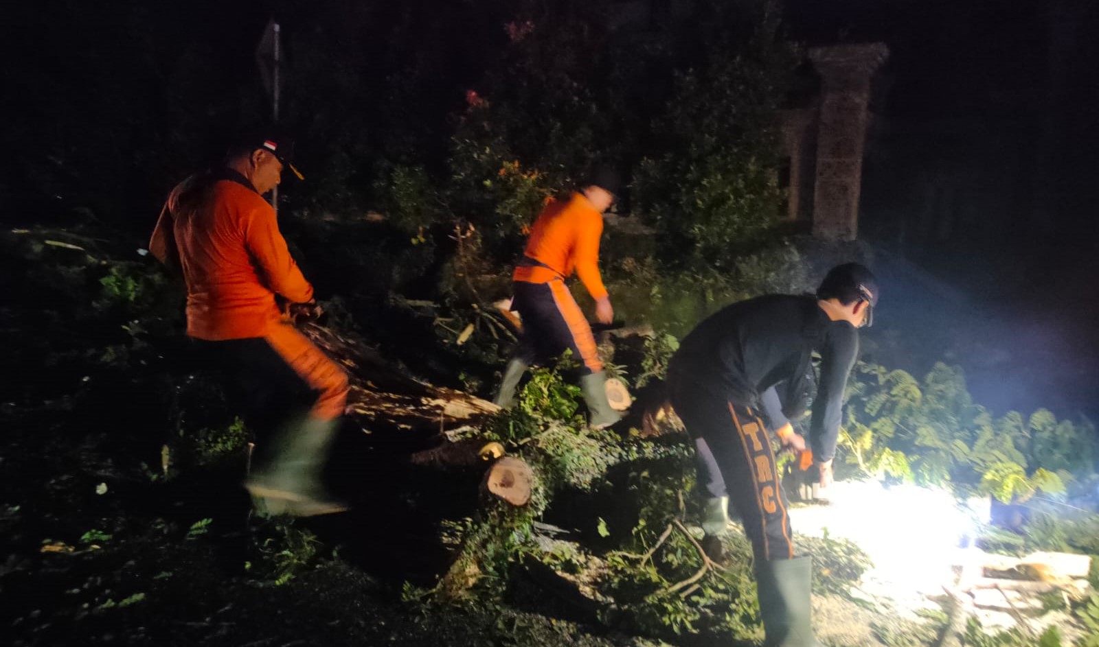 Proses penanganan pohon tumbang di Baturiti, Kabupaten Tabanan, Bali yang menyebab kecelakaan lalu lintas.&nbsp;