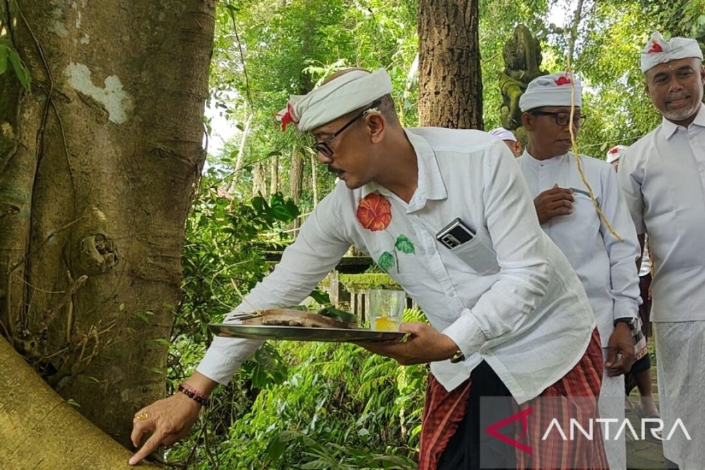 MANTRA: Dalam perayaan Tumpeg Bubuh terdapat mantra atau sesapa yang diucapkan saat menghaturkan banten kepada tumbuh-tumbuhan sesuai tradisi Hindu Bali.
