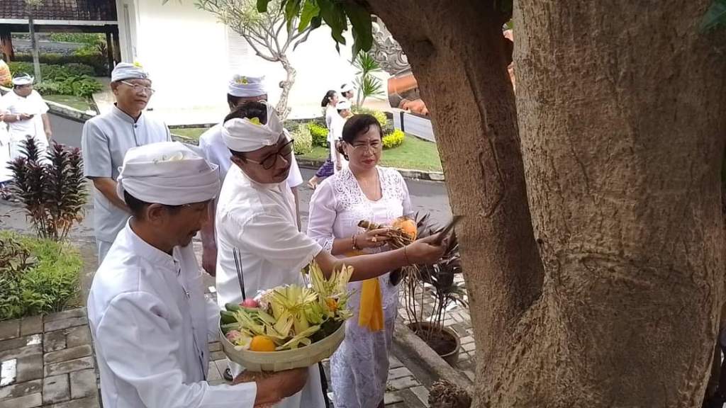 BANTEN: Hindu Bali merayakan hari Tumpek Bubuh sebagai penghormatan terhadap tumbuh-tumbuhan menggunakan banten.