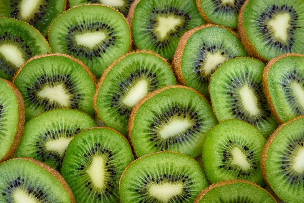 BUAH KIWI