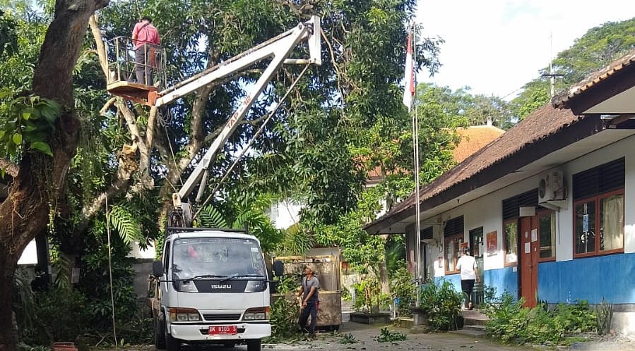 DLH Karangasem hanya memiliki satu unit mobil crane untuk melakukan pemangkasan pohon.