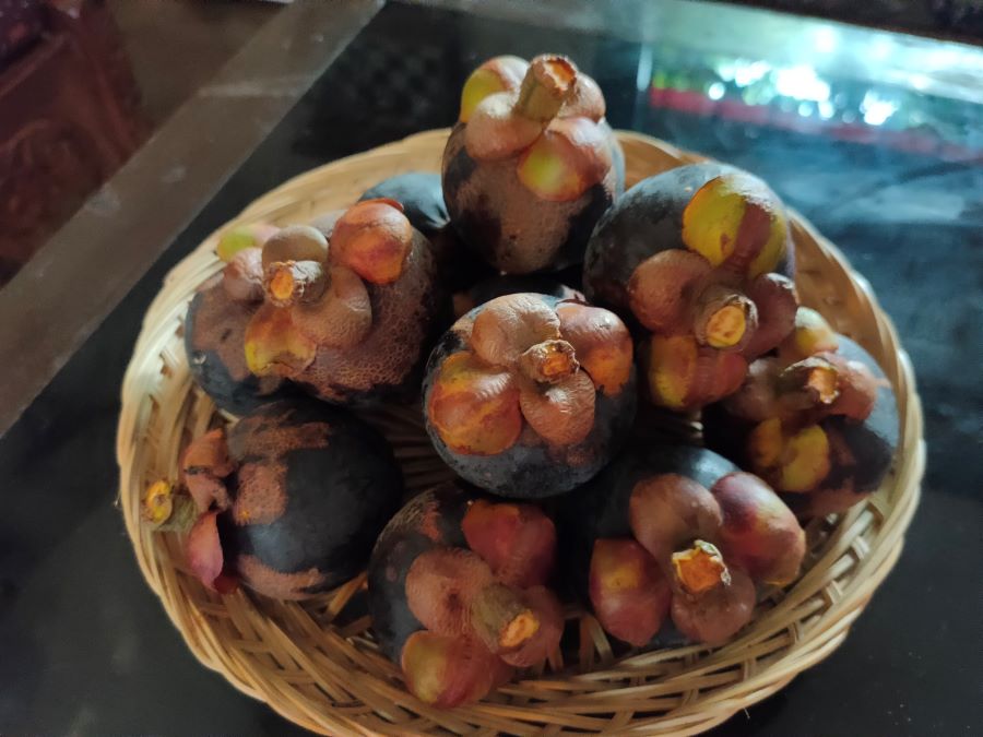 Manggis dari Desa Munduk Bestala, Kecamatan Banjar, Buleleng, Bali.