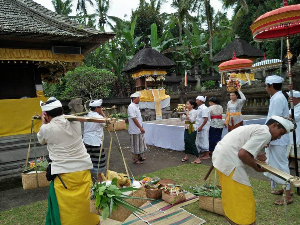 NEPAK BAAN: Tradisi Nepak Baan di Desa Penglipuran Bangli, Bali yang dilaksanakan oleh krama ngarep. Tradisi ini sangat unik yang hanya ada di Penglipuran sebagai salah satu desa tua.
