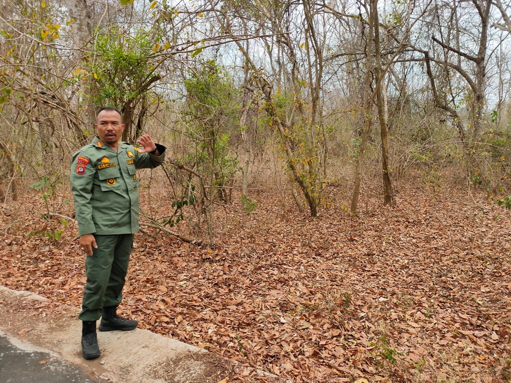 TERLACAK: Dua orang buronan (DPO) yang melakukan perburuan liar di kawasan Taman Nasional Bali Barat (TNBB) terlacak polisi.