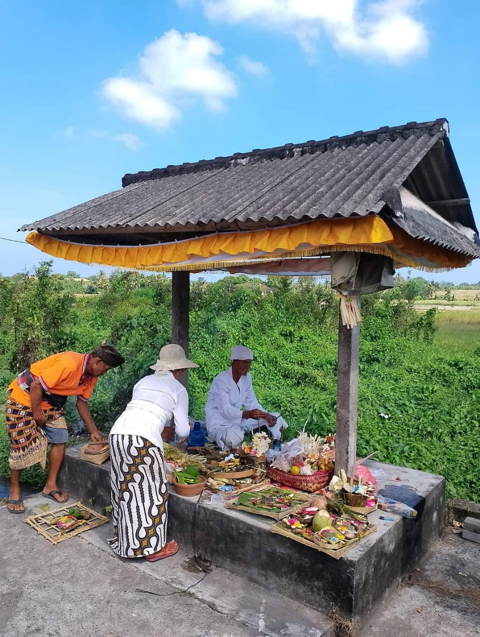 PERTANIAN: Proses penanaman padi di Bali sangat unik. Ada ragam ritual pertanian yang dilakukan, di antaranya persembahan untuk Dewa Bibit.
