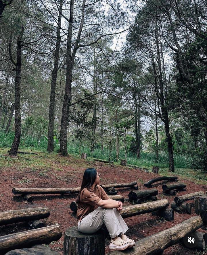 HUTAN: Hutan Pinus Glagalinggah Lestari  merupakan saLah satu tempat pelarian bagi yang sudah merasa bosan dengan kebisingan kota.  Dijamin damai dan tenang.