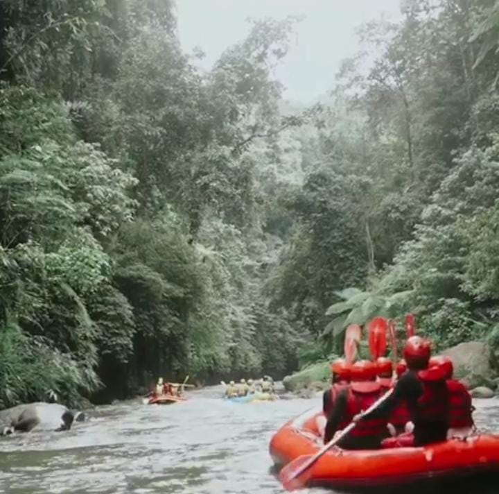 ADRENALIN: Red Paddle Bali Adventure menawarkan wisata yang bisa memicu adrenalin sambil menikmati indahnya alam Ubud.
