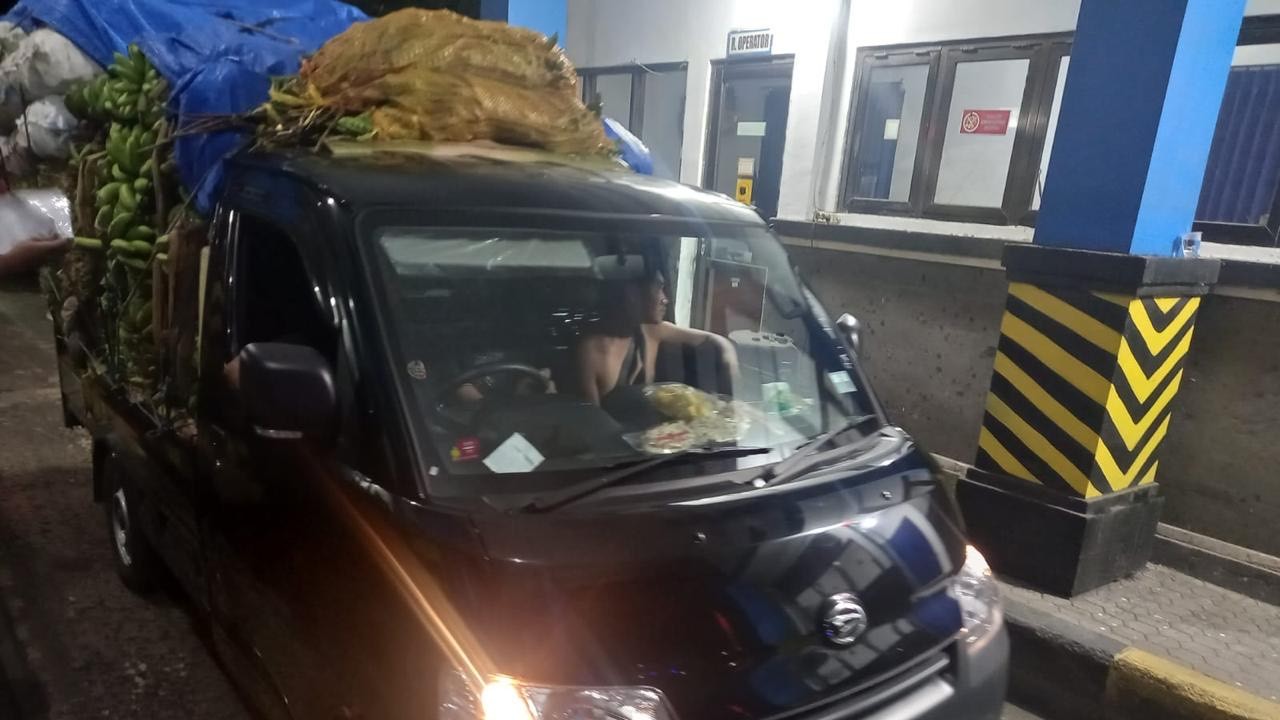 Kendaraan pengangkut janur dan buah pisang saat pengecekan di Unit Pelayanan Penimbangan Kendaraan Bermotor (UPPKB) Cekik, Kelurahan Gilimanuk, Kabupaten Jembrana, Bali, Kamis, 22 Februari 2024.