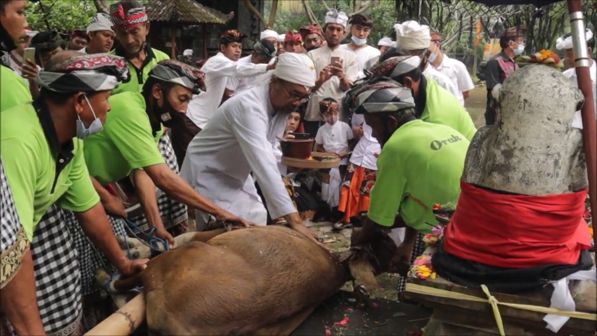 GODEL: Tradisi Ngusaba Kelod di Desa Bugbug, Karangasem  menggunakan sarana godel.  Dilaksanakan pada sasih Kesanga, sekitar bulan Maret.