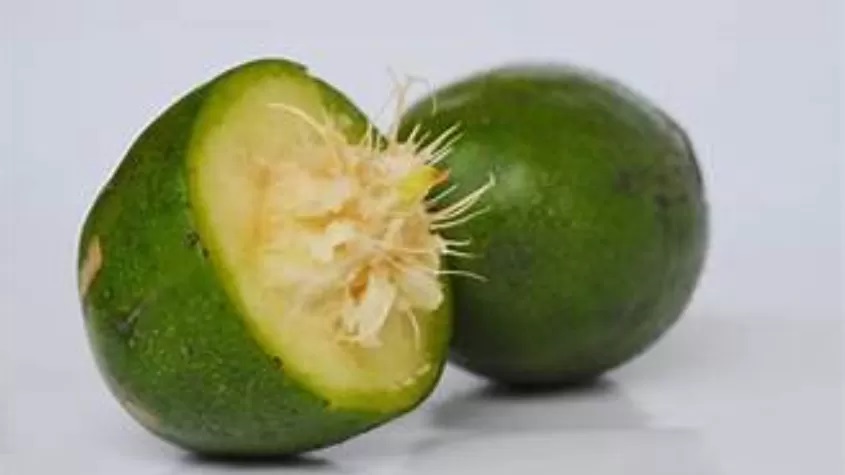 Kedondong