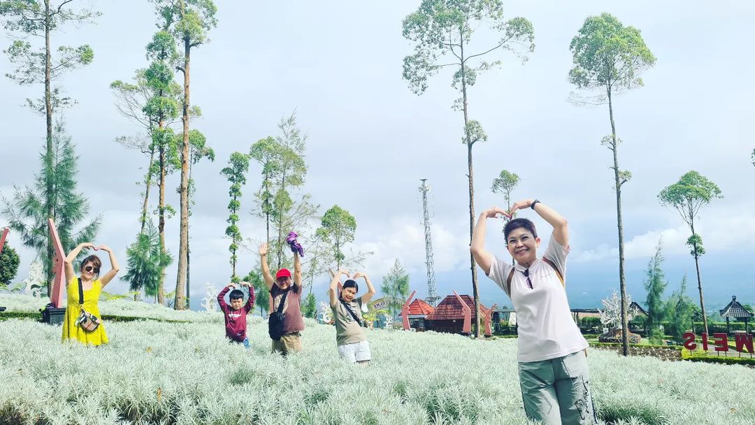 Objek wisata Taman Edelweis di lereng Gunung Agung, Kabupaten Karangasem, Bali banyak dikunjungi wisatawan.