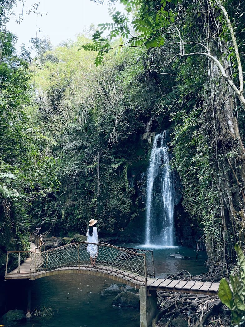 SPOT: Ulu Petanu Waterfall di Tegalalang, Gianyar, Bali memiliki segudang spot cantik di sekitar air terjun, tetapi ada yang paling istimewa.