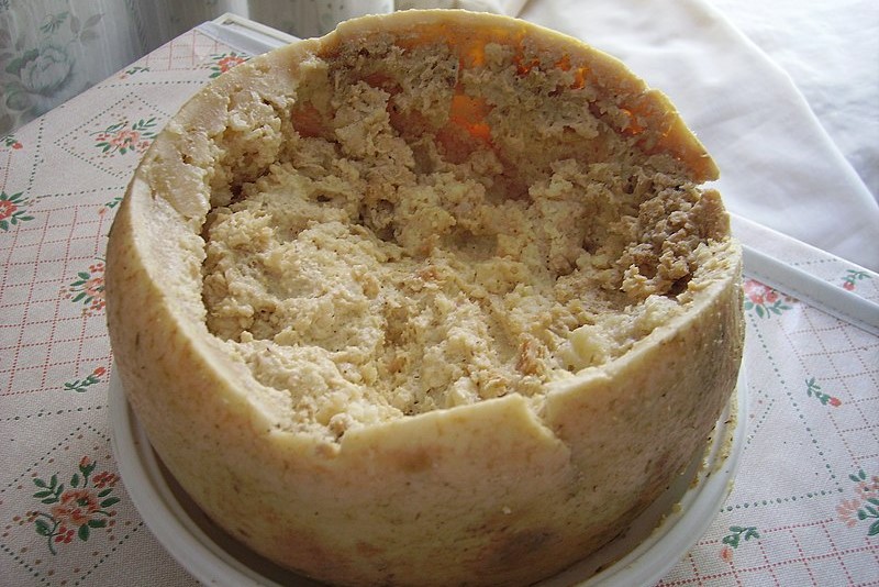 Casu Marzu, keju asal Sardinia, Italia.
