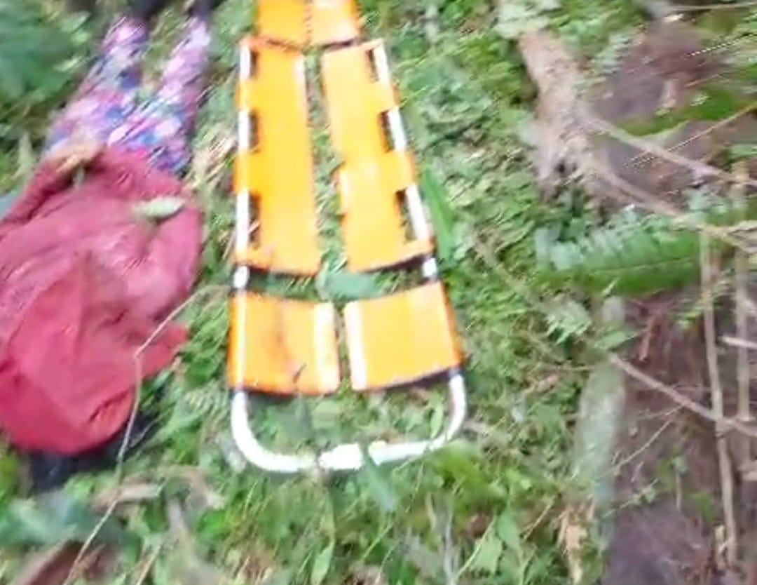 TERKAPAR: Nenek Leper terkapar setelah ditimpa pohon enau yang tumbang di tegalan wilayah Bongkasa.