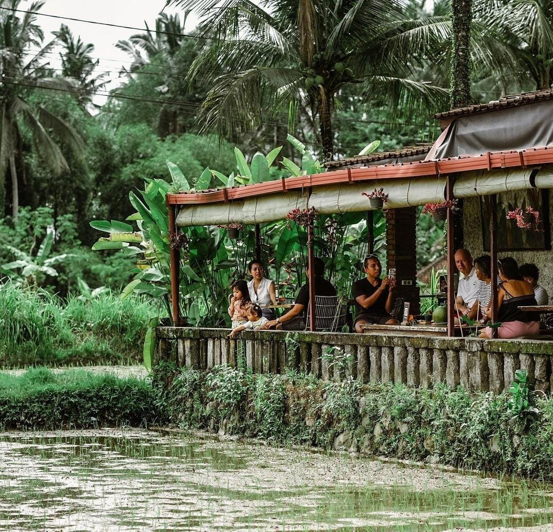 NONGKRONG: Tropical Ants Cafe yang terletak di Ubud Bali merupakan tempat nongkrong dengan pemandangan sawah.