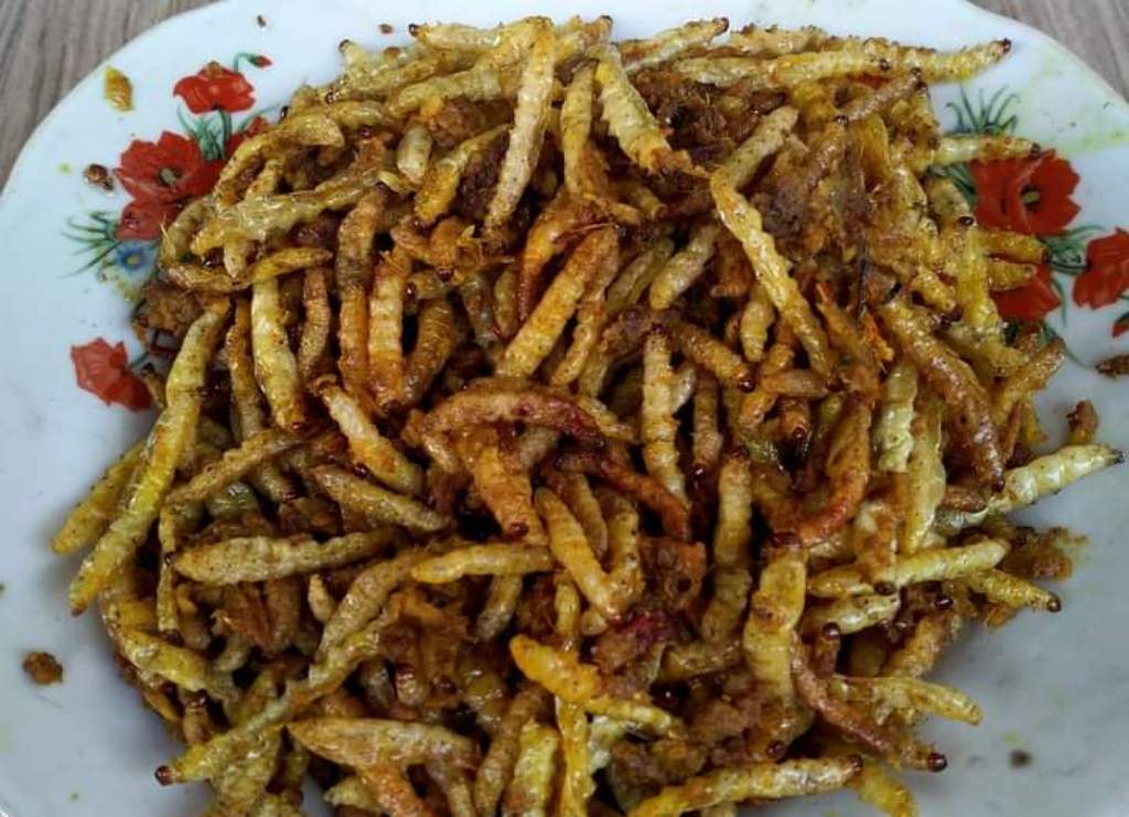 Ulat Kelong menjadi salah satu bahan kuliner ekstrem di Batukau, Tabanan, Bali.