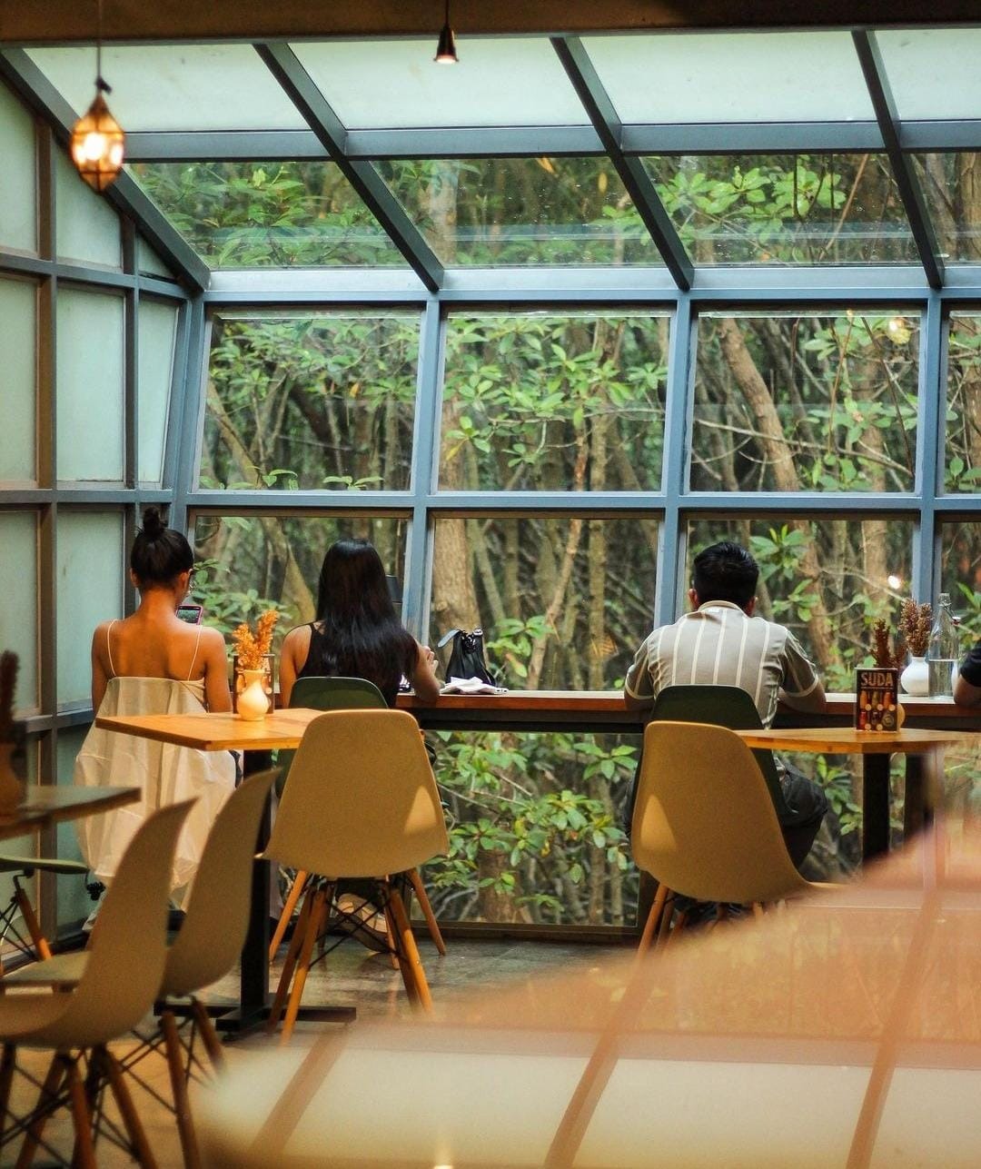 HUTAN: Koffietons Tuban, cafe dengan view hutan mangrove di tengah kota yang menawarkan pengalaman makan yang unik.