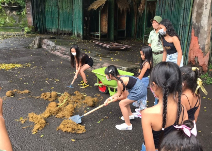 DIOLAH : Proses pembuatan kertas dari kotoran gajah di Bali Safari Park.