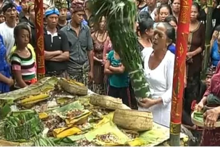 Salah satu tradisi di Desa Sidetapa, Buleleng, Bali.