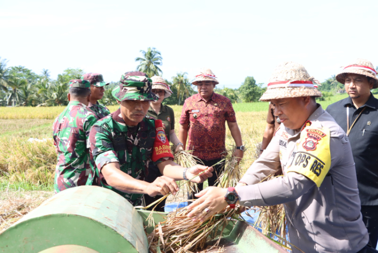 Pangdam IX/Udayana Mayjen TNI Bambang Trisnohadi dan Danram163/Wirasatya Brigjen TNI Ida Bagus Ketut Surya Wedena melaksa akan panen raya di  subak kwalonan, Desa Sidan, Kecamatan Gianyar, panen raya