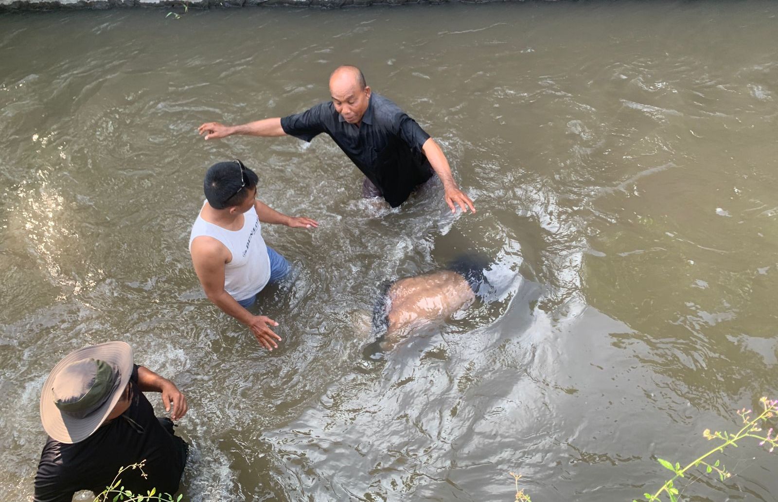 EVAKUASI: Jenazah kakek Gusti Agung Mayun dievakuasi dari sungai di Mengwi, Badung, Bali.