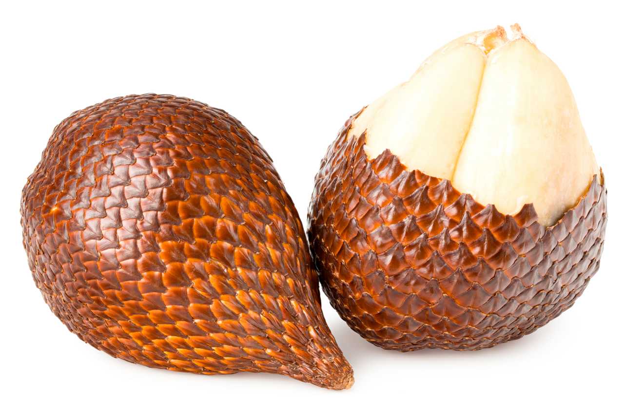 Salak or snake fruit isolated on white background.
