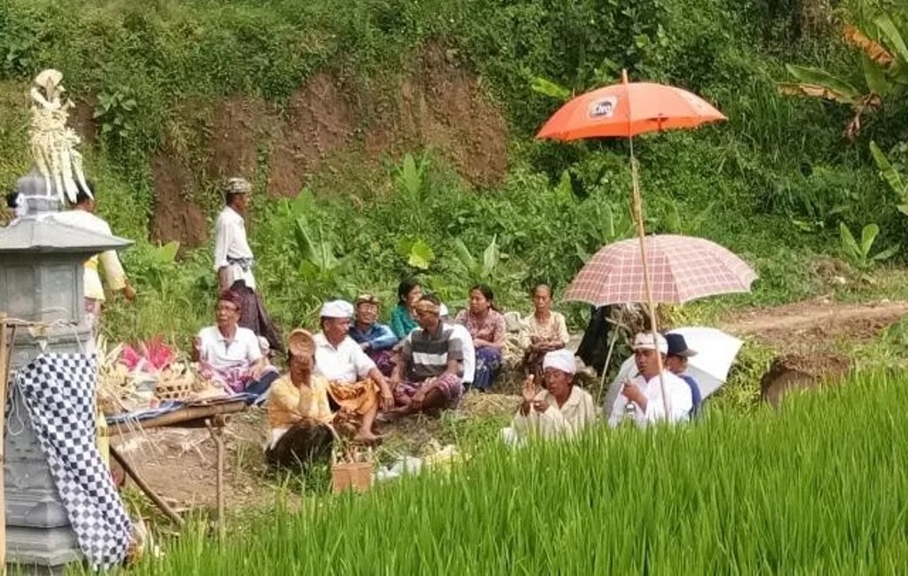Upacara Ngulapin Dewi Sri merupakan ritual tradisional Hindu di Bali yang ditujukan untuk memanggil Dewi Sri, Dewi Kesuburan, agar kembali ke stana-Nya setelah sawah terkena musibah